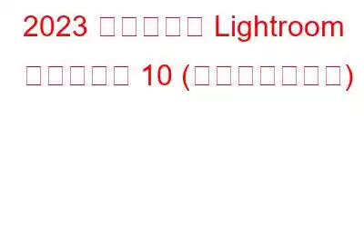 2023 年のベスト Lightroom プラグイン 10 (無料および有料)