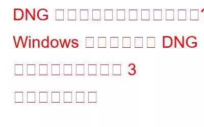 DNG ファイルを紛失しましたか? Windows で削除された DNG ファイルを復元する 3 つの便利な方法